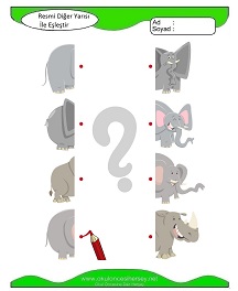 Resmi Diğer Yarısı ile Eşleştir Çalışma Sayfaları